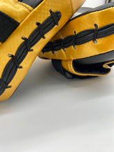 Load image into Gallery viewer, Custom Focus Mitts