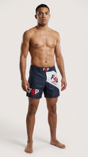 Load image into Gallery viewer, Pro MMA Shorts
