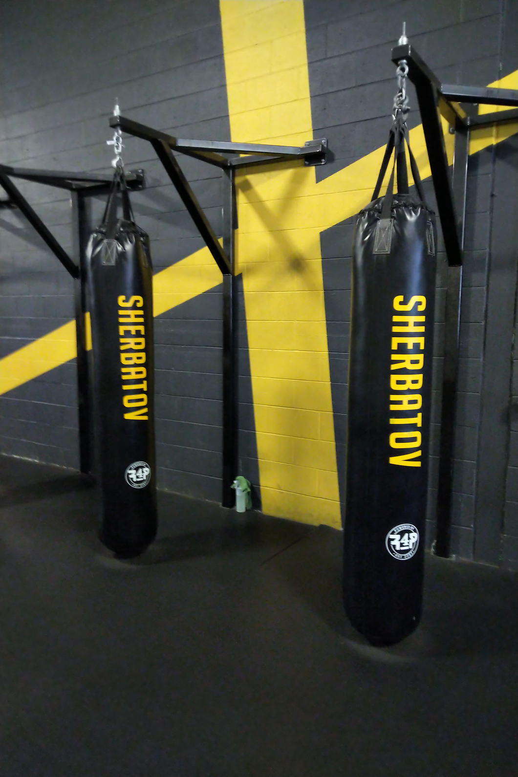 Custom Punching Bags